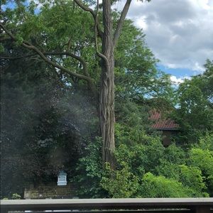 Meet your Posher, Jackie